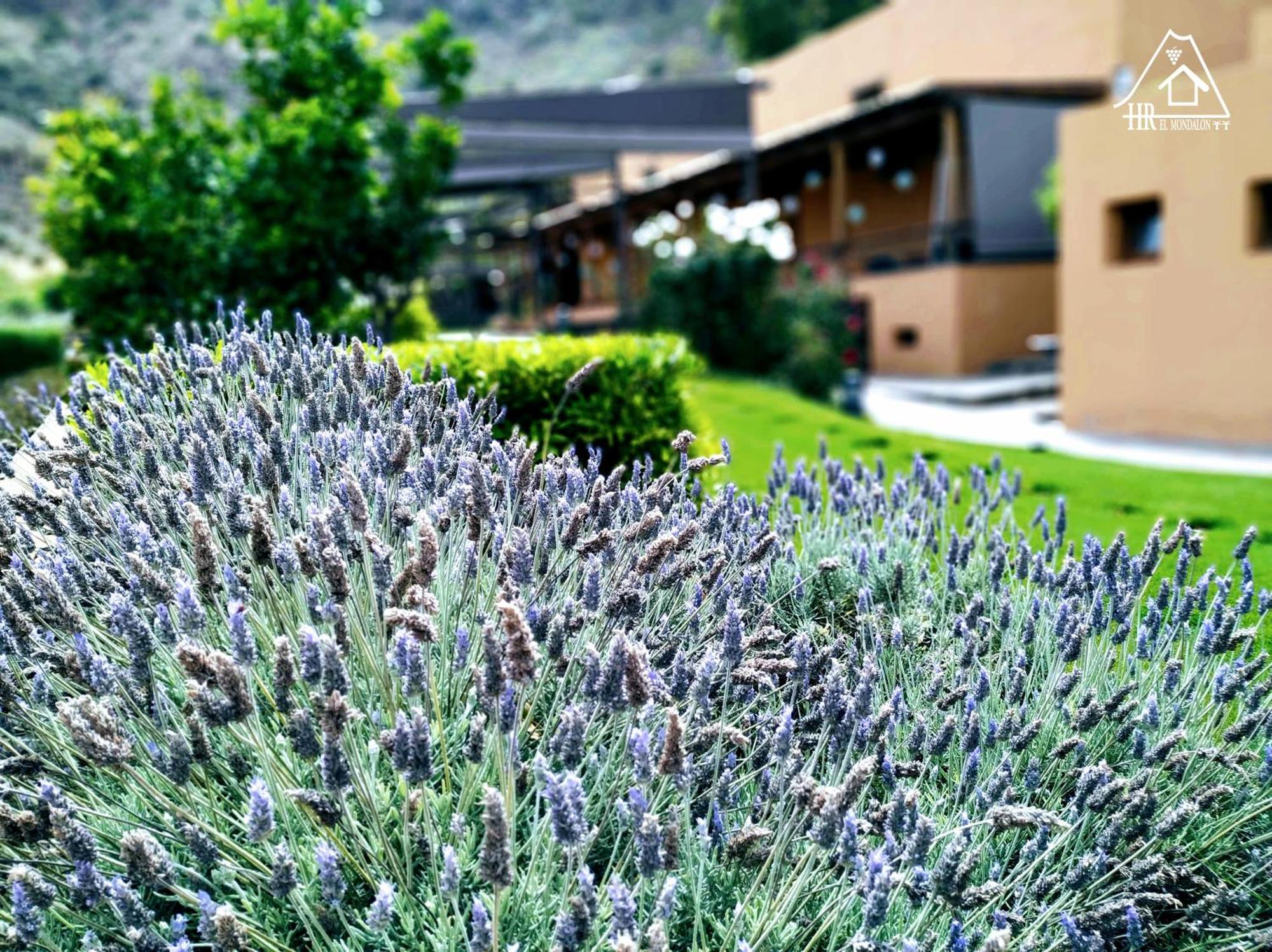 Hotel Rural El Mondalon Las Palmas de Gran Canaria Zewnętrze zdjęcie